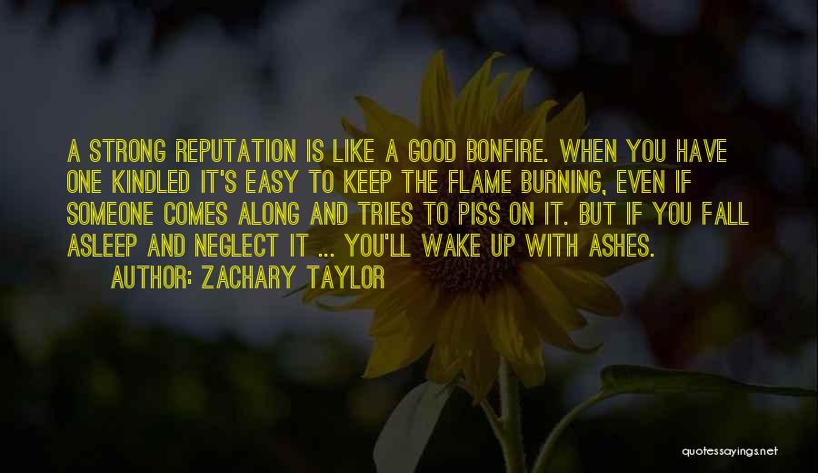 If It Comes Easy Quotes By Zachary Taylor