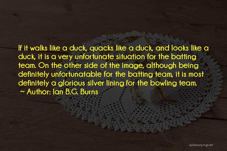 If It Looks Like A Duck Quotes By Ian B.G. Burns