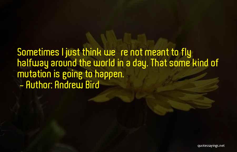 If It Meant Will Happen Quotes By Andrew Bird