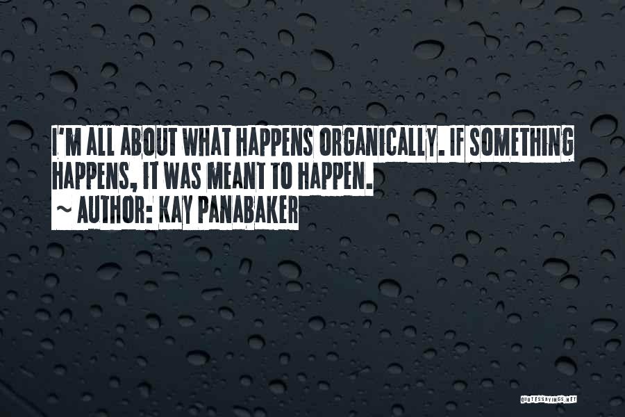 If It Meant Will Happen Quotes By Kay Panabaker