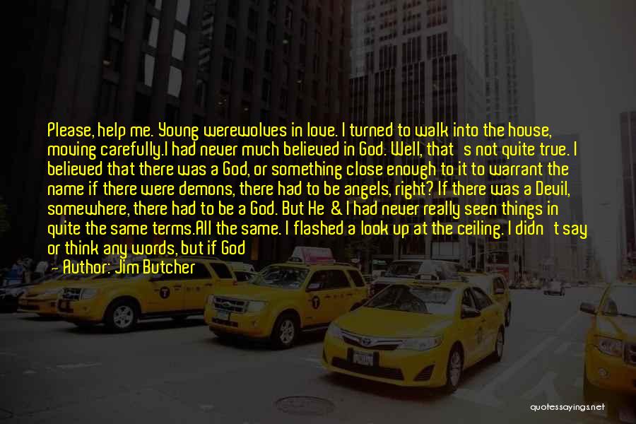 If It Was Up To Me Quotes By Jim Butcher
