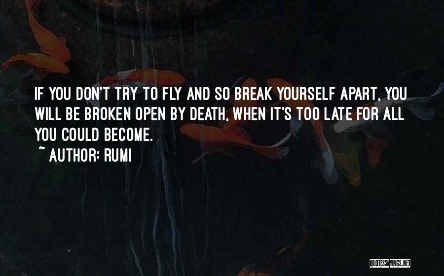 If It's Broken Quotes By Rumi