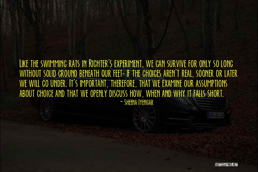 If It's Important Quotes By Sheena Iyengar If It's Important Quotes By Sheena Iyengar