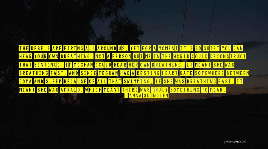 If It's Meant For Me Quotes By Anna Quindlen If It's Meant For Me Quotes By Anna Quindlen