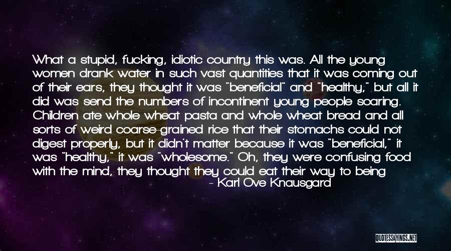 If It's Not Beneficial Quotes By Karl Ove Knausgard