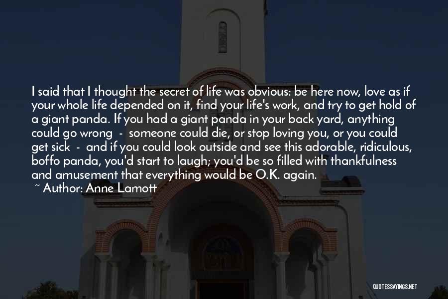 If It's Wrong To Love You Quotes By Anne Lamott