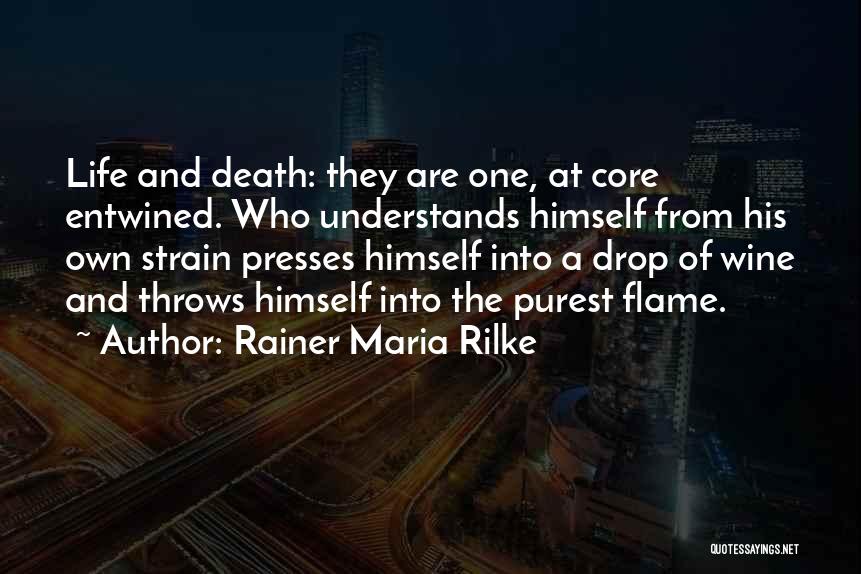 If Life Throws You Quotes By Rainer Maria Rilke