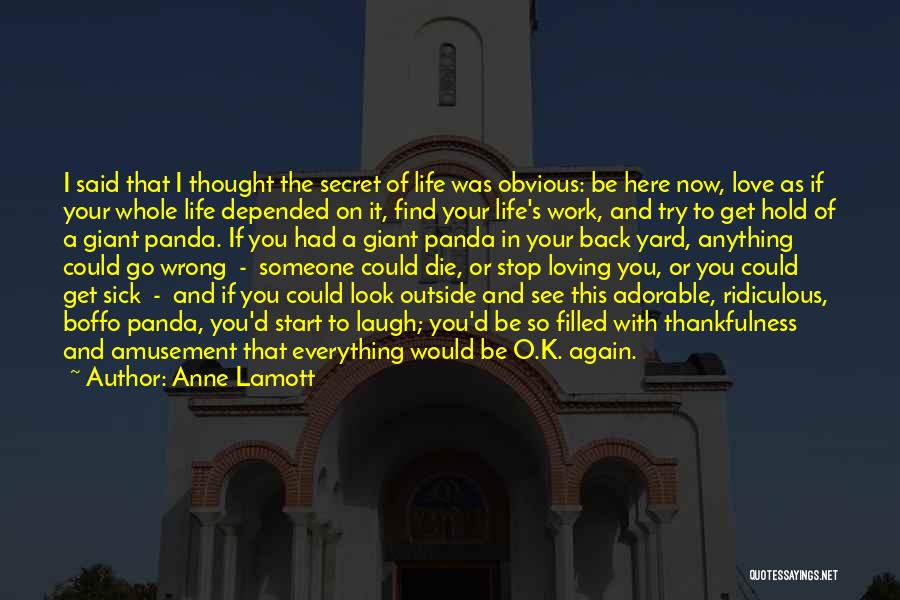 If Loving You Was Quotes By Anne Lamott