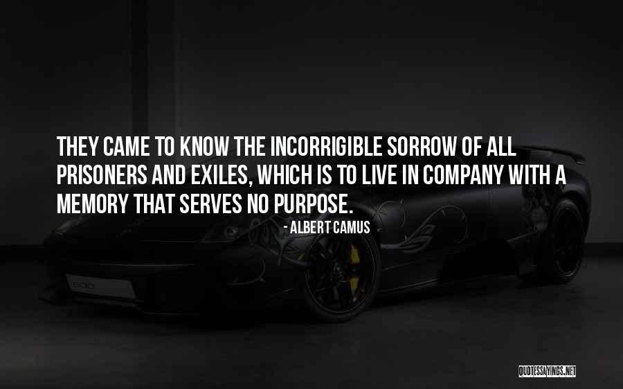 If Memory Serves Quotes By Albert Camus If Memory Serves Quotes By Albert Camus