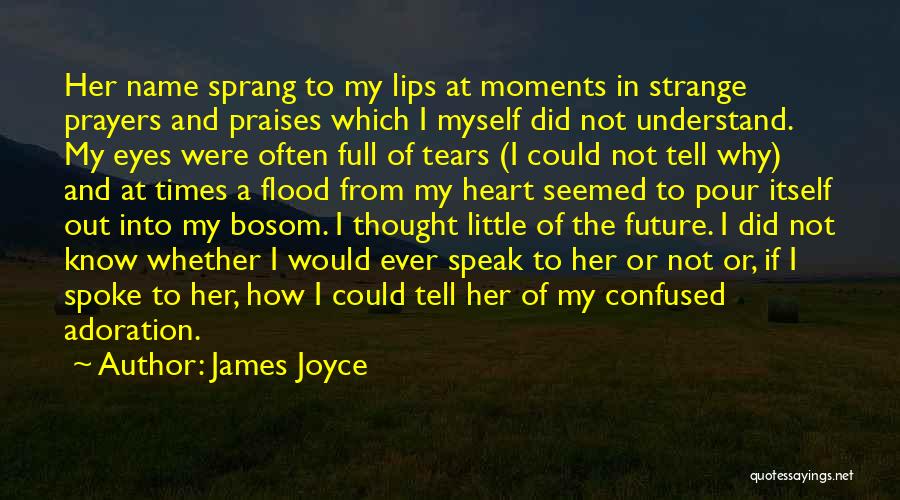 If My Eyes Could Speak Quotes By James Joyce