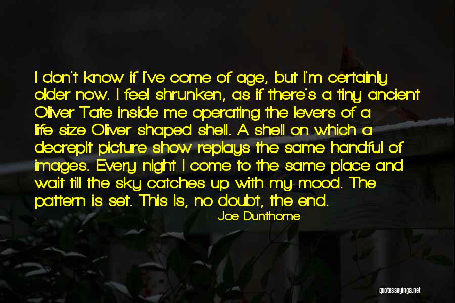 If My Life Quotes By Joe Dunthorne If My Life Quotes By Joe Dunthorne