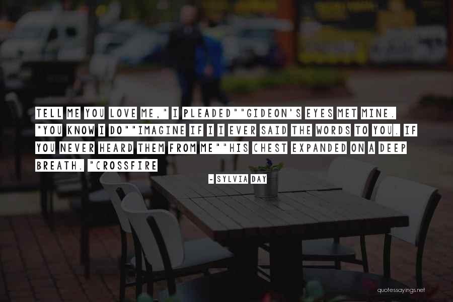 If Never Met You Quotes By Sylvia Day If Never Met You Quotes By Sylvia Day