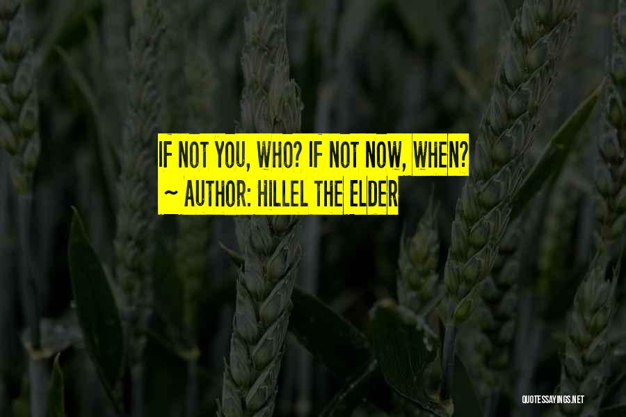 If Not Now When Quotes By Hillel The Elder