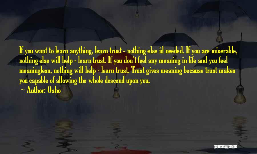 If Nothing Else Quotes By Osho