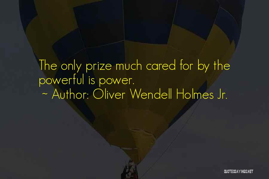 If Only I Cared Quotes By Oliver Wendell Holmes Jr.