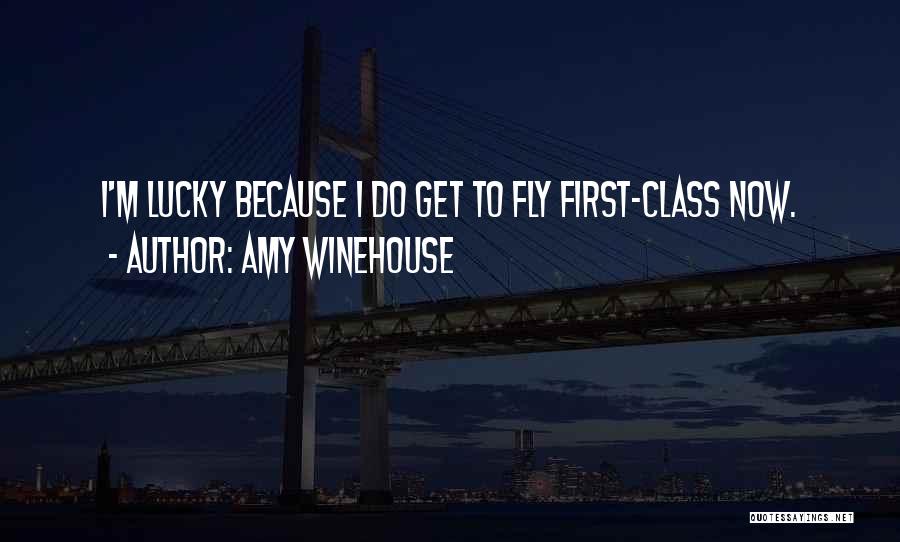 If Only I Could Fly Quotes By Amy Winehouse