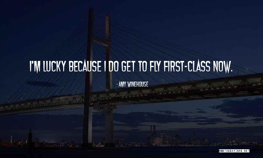 If Only I Could Fly Quotes By Amy Winehouse If Only I Could Fly Quotes By Amy Winehouse