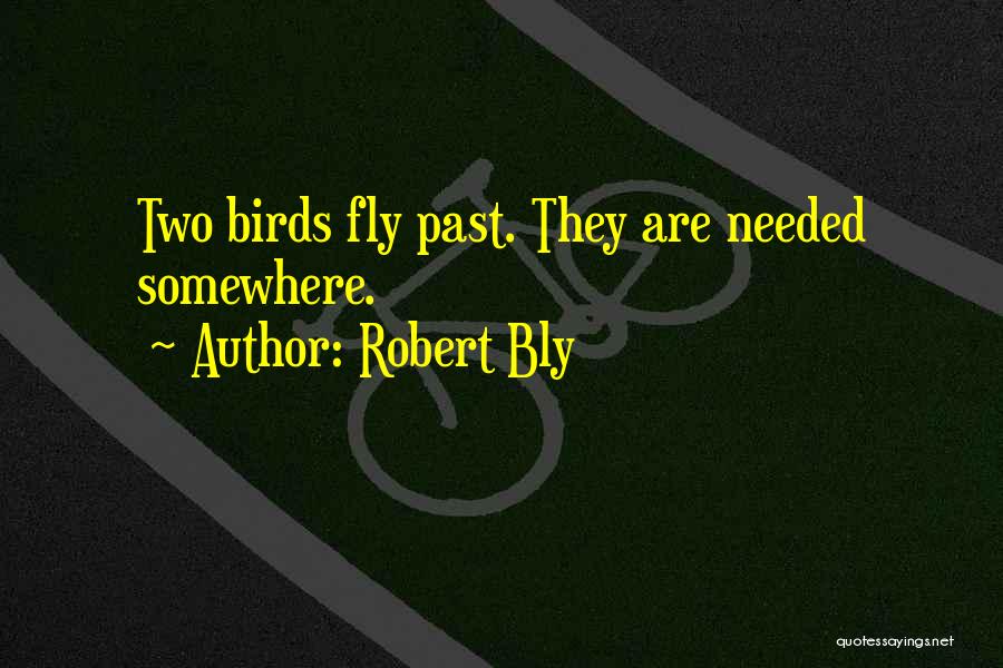 If Only I Could Fly Quotes By Robert Bly