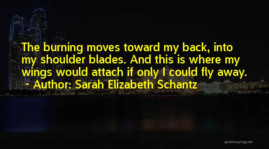 If Only I Could Fly Quotes By Sarah Elizabeth Schantz
