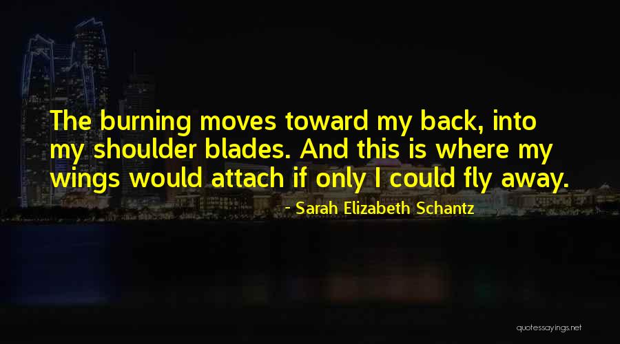 If Only I Could Fly Quotes By Sarah Elizabeth Schantz If Only I Could Fly Quotes By Sarah Elizabeth Schantz