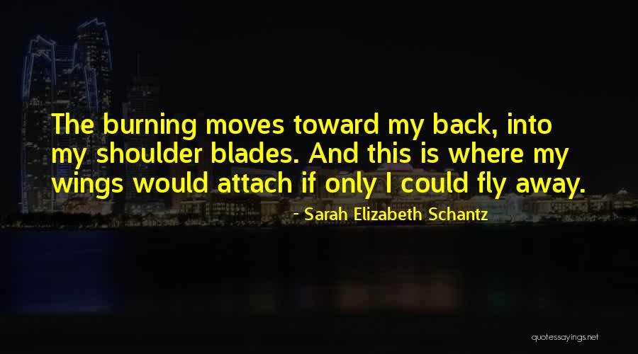 If Only I Could Fly Quotes By Sarah Elizabeth Schantz