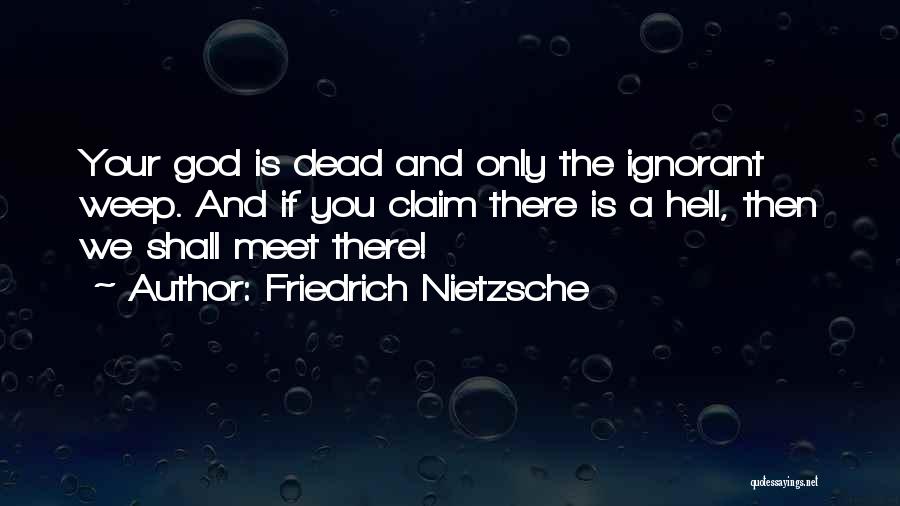 If Only Quotes By Friedrich Nietzsche