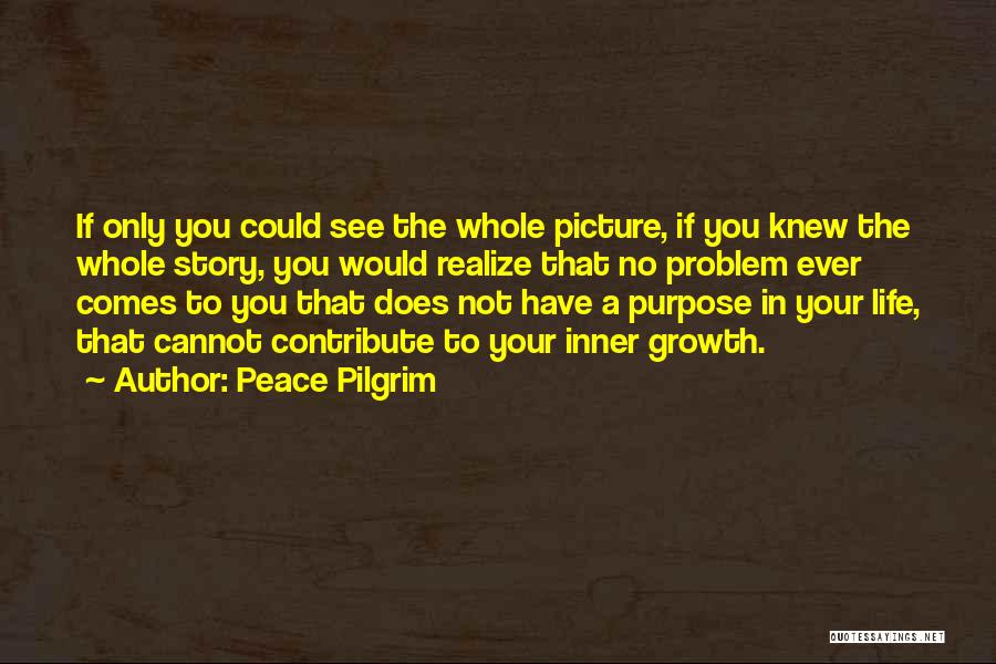 If Only You Could See Quotes By Peace Pilgrim