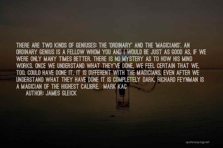 If Only You Could Understand Quotes By James Gleick
