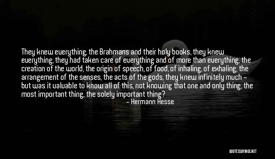 If Only You Knew How Much I Care Quotes By Hermann Hesse