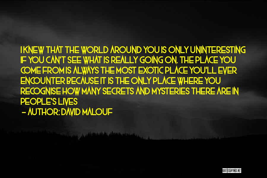 If Only You Really Knew Quotes By David Malouf