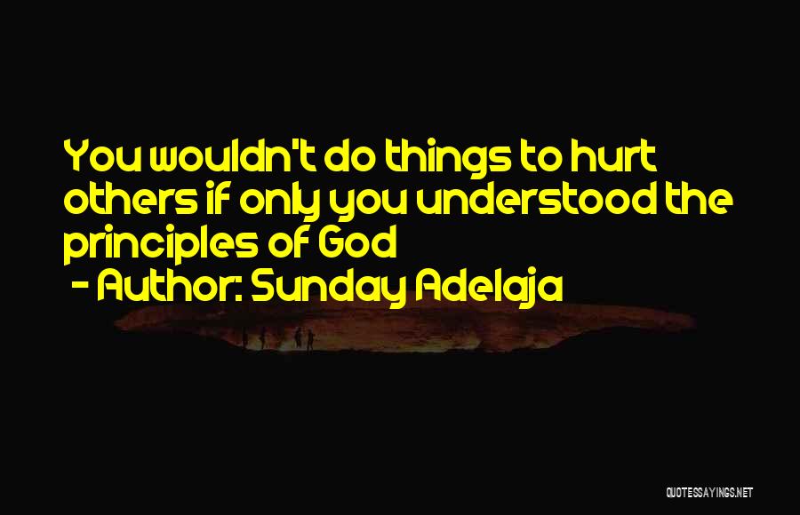 If Only You Understood Quotes By Sunday Adelaja