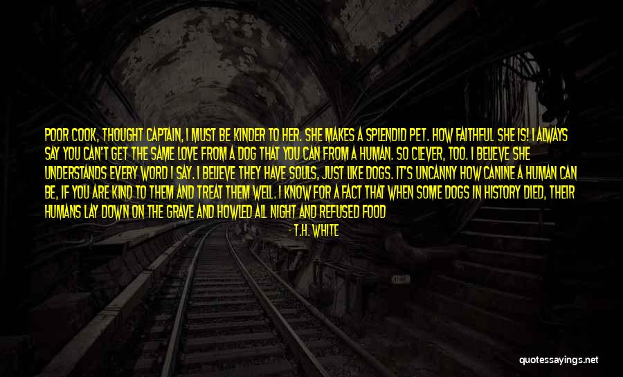 If She Can Cook Quotes By T.H. White If She Can Cook Quotes By T.H. White