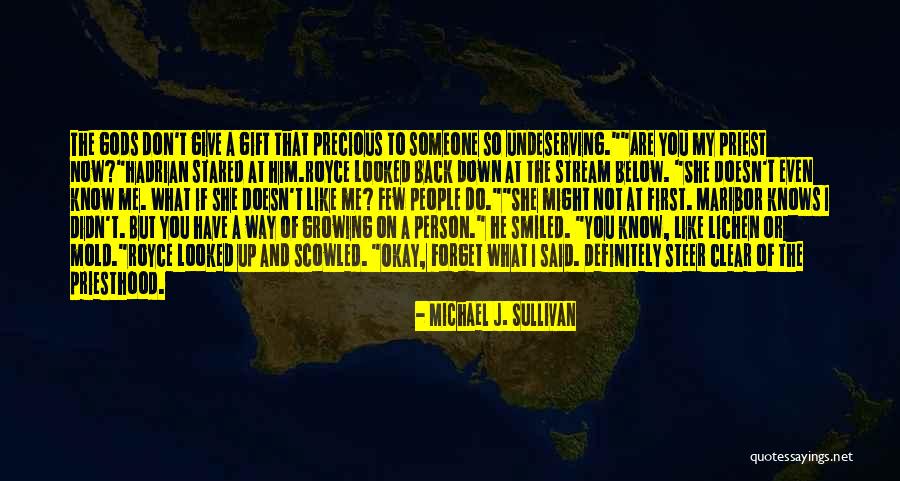 If Someone Doesn't Like Me Quotes By Michael J. Sullivan If Someone Doesn't Like Me Quotes By Michael J. Sullivan