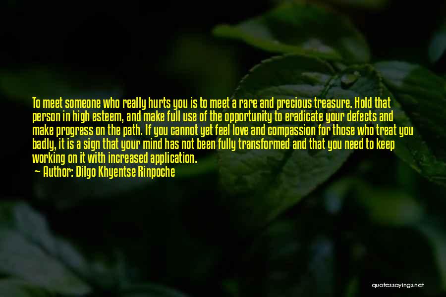 If Someone Hurts You Quotes By Dilgo Khyentse Rinpoche