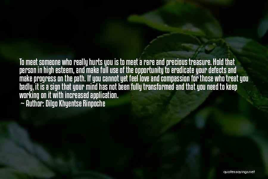 If Someone You Love Hurts You Quotes By Dilgo Khyentse Rinpoche