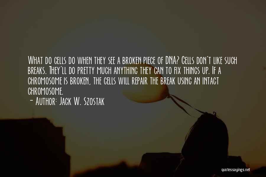 If Something Is Broken Fix It Quotes By Jack W. Szostak