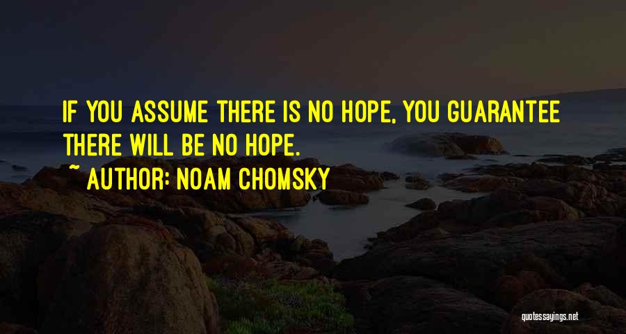 If There Is No Hope Quotes By Noam Chomsky