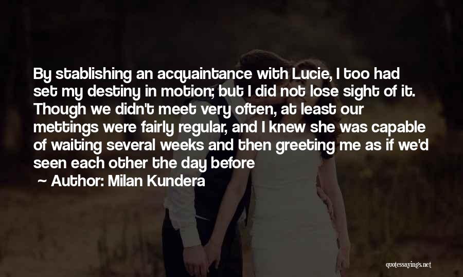 If We Didn't Meet Quotes By Milan Kundera