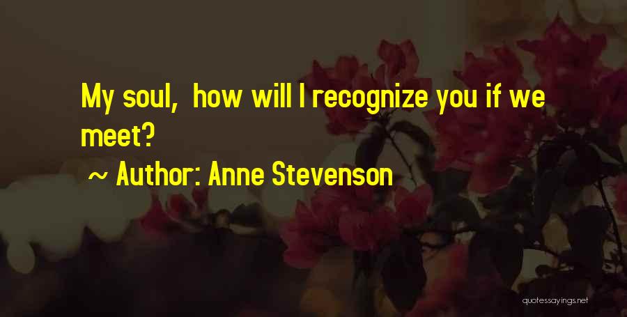 If We Meet Quotes By Anne Stevenson