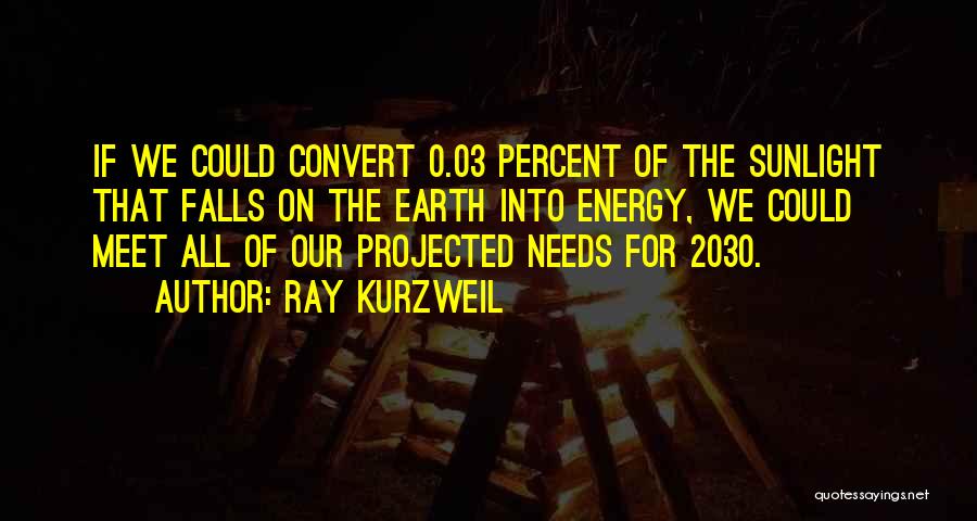 If We Meet Quotes By Ray Kurzweil