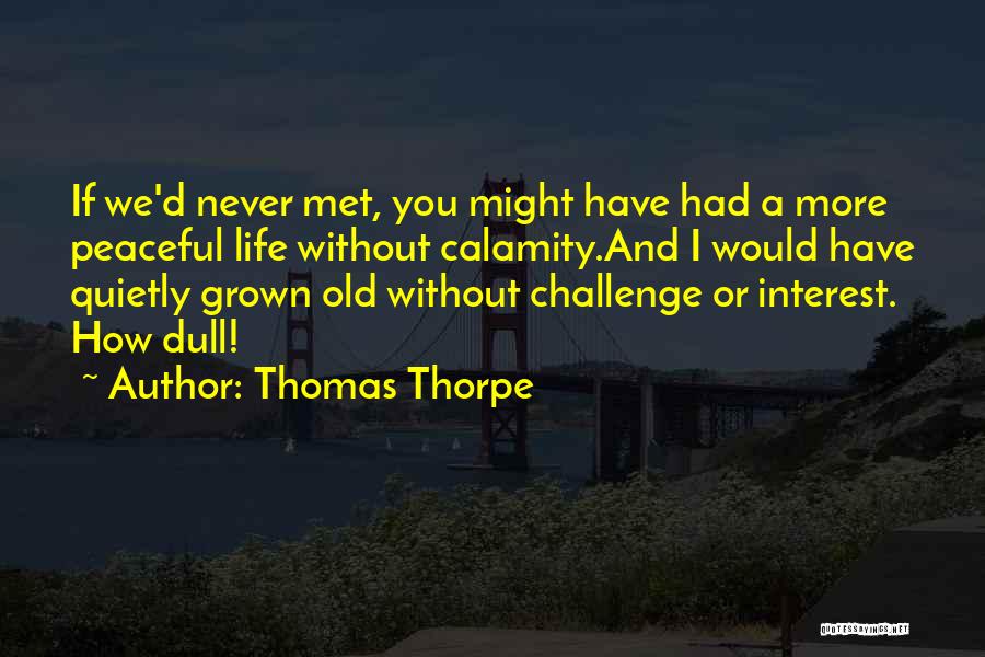 If We Never Met Quotes By Thomas Thorpe