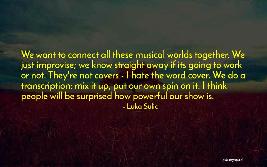 If We Work Together Quotes By Luka Sulic