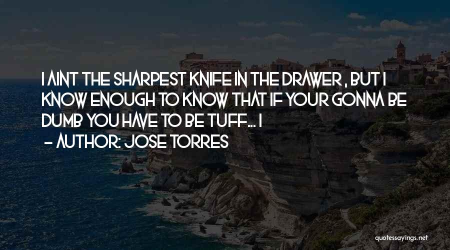 If You Aint Quotes By Jose Torres