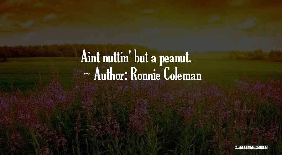 If You Aint Quotes By Ronnie Coleman