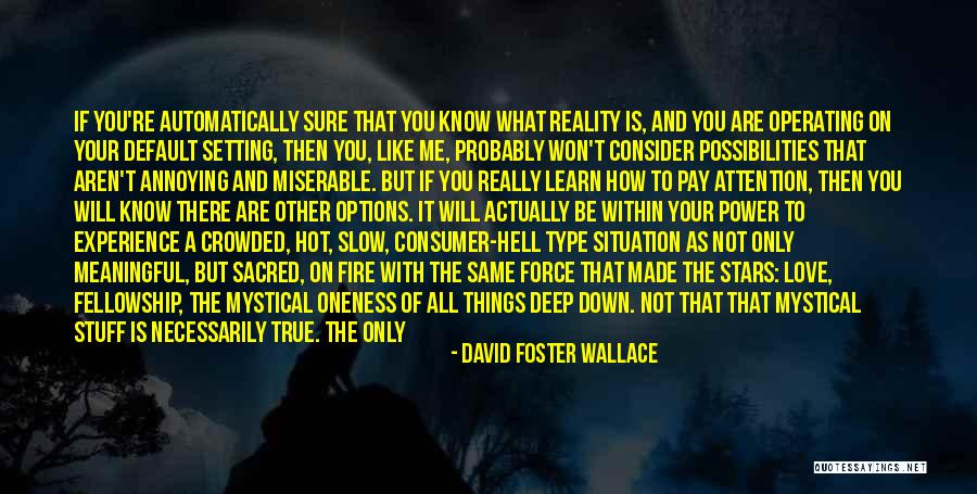 If You Are Down Quotes By David Foster Wallace