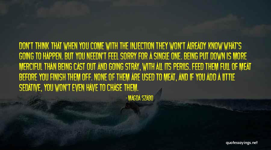 If You Are Down Quotes By Magda Szabo If You Are Down Quotes By Magda Szabo