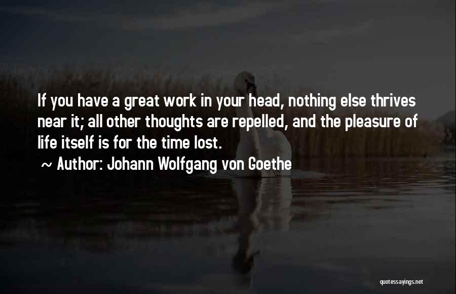 If You Are Lost Quotes By Johann Wolfgang Von Goethe