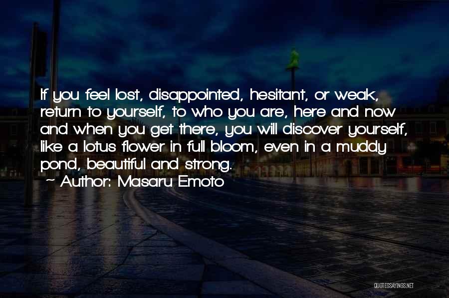 If You Are Lost Quotes By Masaru Emoto