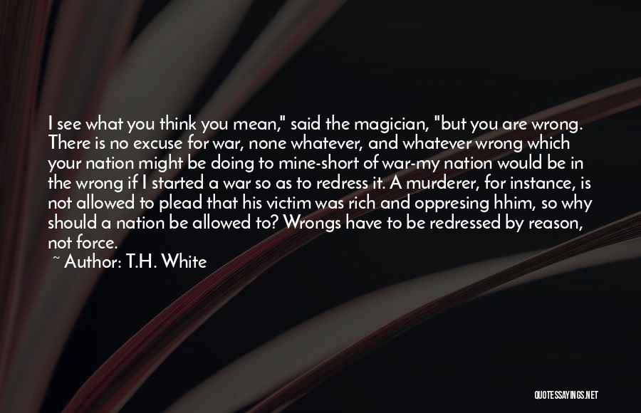 If You Are Not Mine Quotes By T.H. White