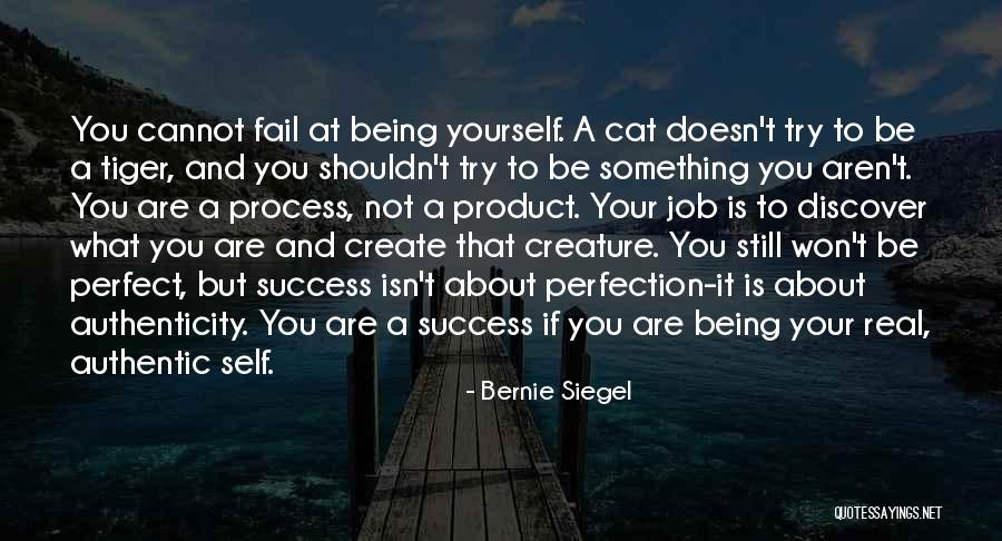If You Are Not Perfect Quotes By Bernie Siegel If You Are Not Perfect Quotes By Bernie Siegel
